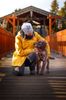 perfekter Hund für Rettungshundestaffel Ausbildung zum Spürhund Therapiehund Assistenzhund