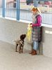 perfekter Hund für Rettungshundestaffel Ausbildung zum Spürhund Therapiehund Assistenzhund