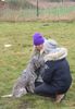 Leinenführigkeit Training Lagotto Romagnolo