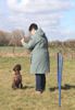 Anti Gift Köder Training Lagotto Romagnolo
