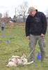 Lagotto Romagnolo Hundeschule