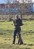 Impulskontrolle beim Lagotto Romagnolo
