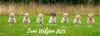 Lagotto Romagnolo Welpen Hannover Salzgitter Harz Züchter Lagotto Welpe abzugeben Kassel Göttingen Lüneburger Heide Züchter braunschimmel