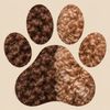 Lagotto Romagnolo Welpen Herbst 2026 Niedersachsen Hannover Doodle welpen Herbstferien 2026 Lagocki