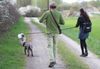 Welpenplanung Lagotto braun orange Welpe abzugeben 