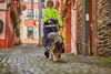 Seminar Beschäftigung Hund Mantrailing Braunschweig Wolfsburg