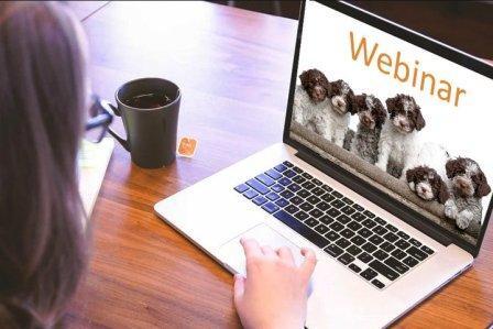 Lagotto Romagnolo Seminar Webinar Interessenten Züchter Zucht Welpen 